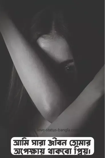 sad love status bangla pic