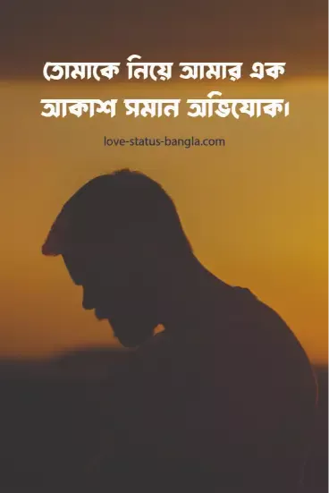 sad love status bangla pic
