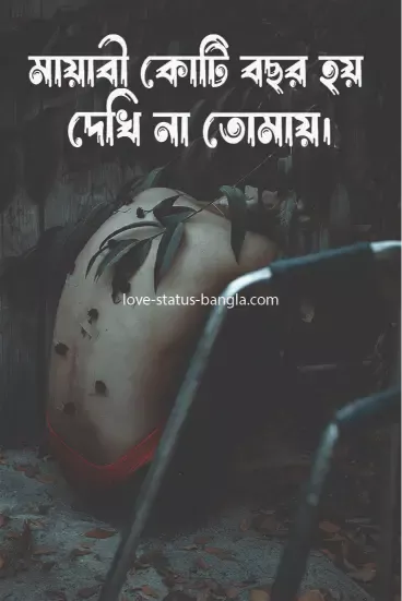 sad love status bangla pic