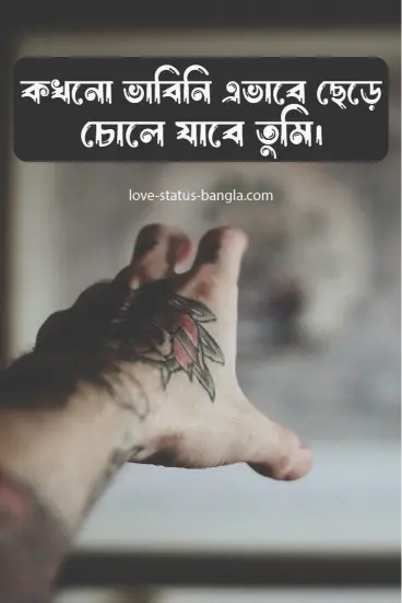 sad love status bangla pic