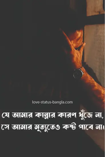 sad love status bangla pic