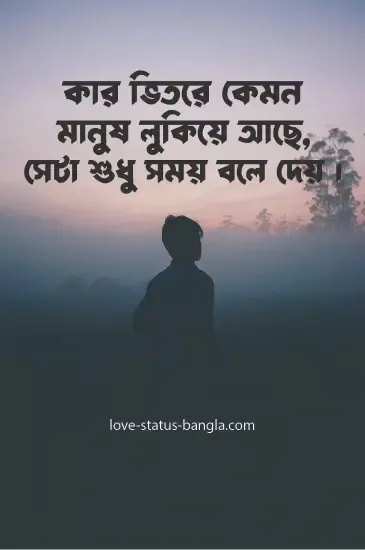 sad love status bangla pic