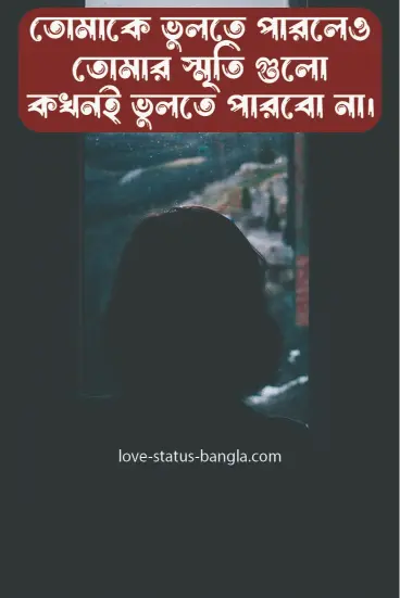 sad love status bangla pic