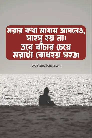 sad love status bangla pic