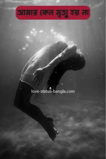 sad love status bangla pic